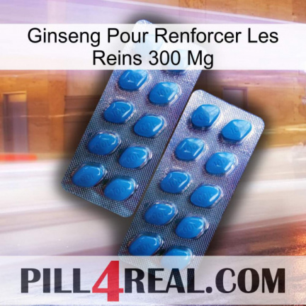 Ginseng For Reinforcing Kidney 300 Mg viagra2
